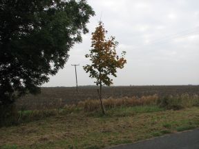 Greenwich Meridian Marker; England; Cambridgeshire; Orwell